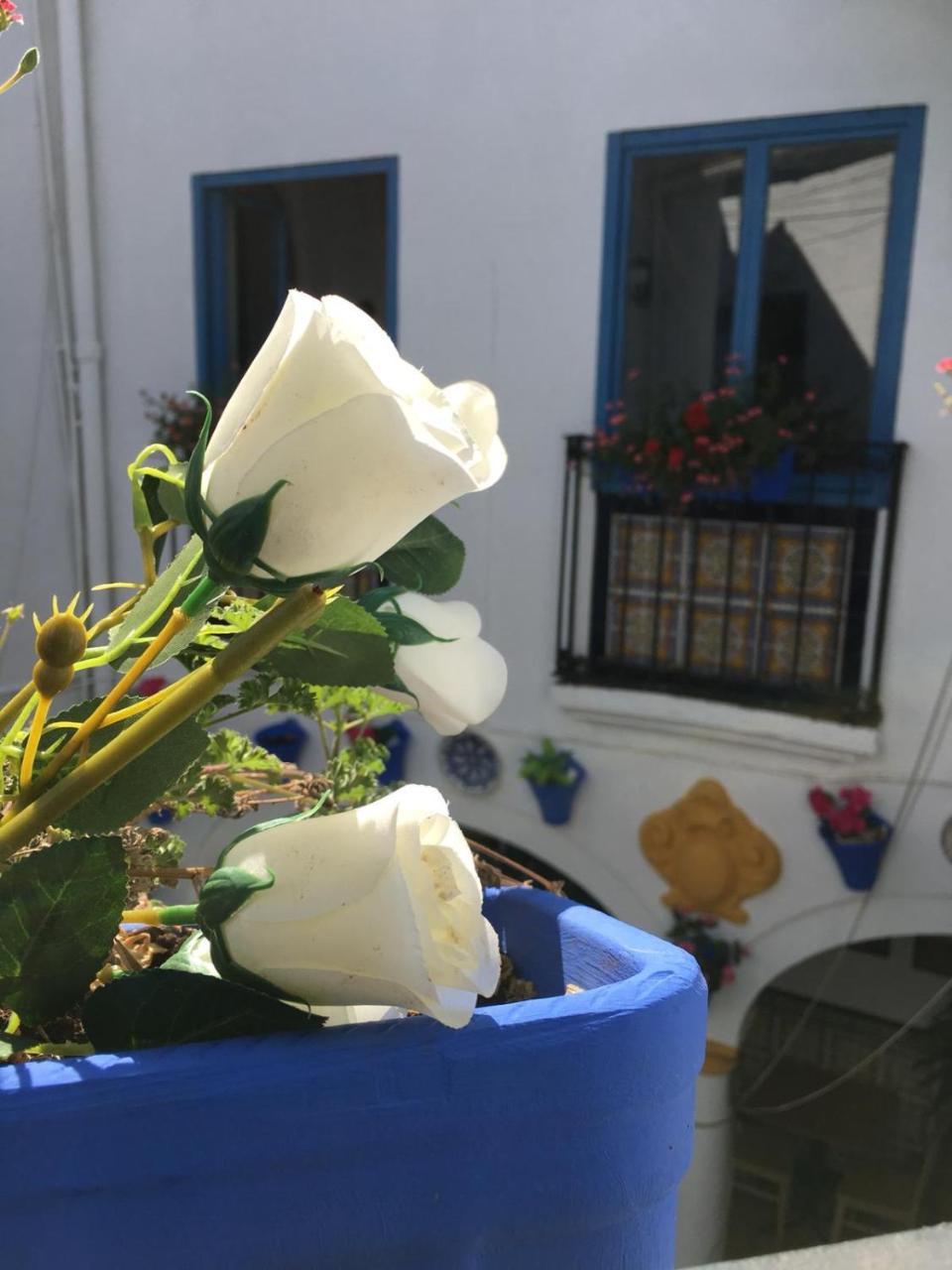 Seneca Hostel Cordoba Exterior photo